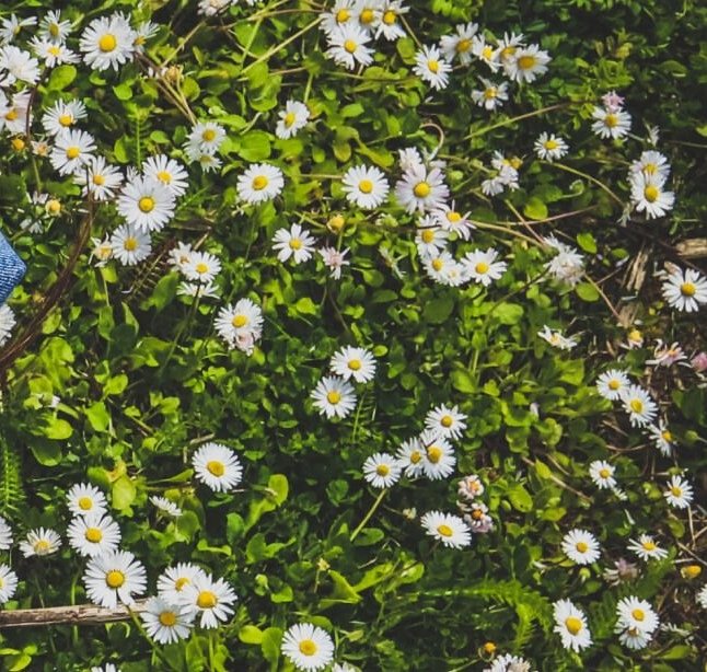 10 частих помилок студентів із рівнем Elementary